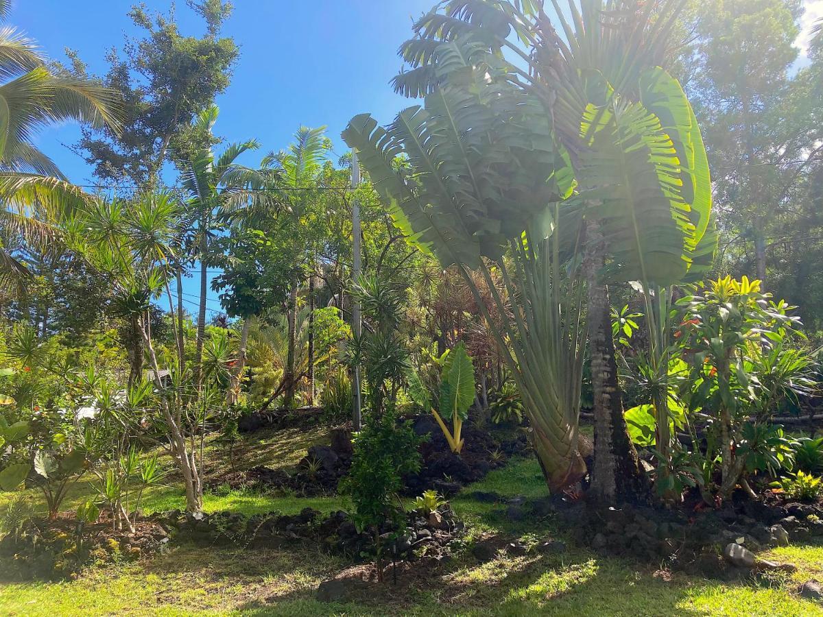 Seaside House And Aloha Bungalow Pahoa Экстерьер фото