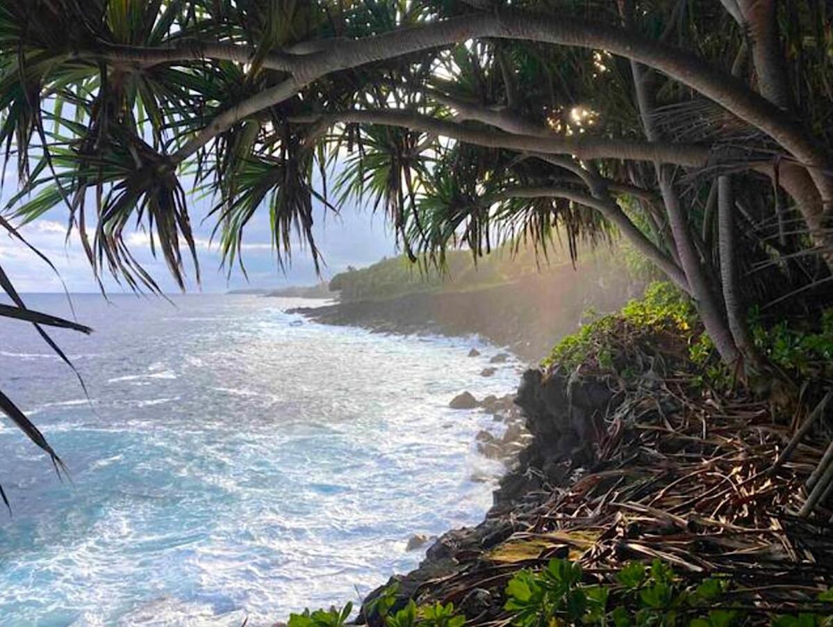 Seaside House And Aloha Bungalow Pahoa Экстерьер фото